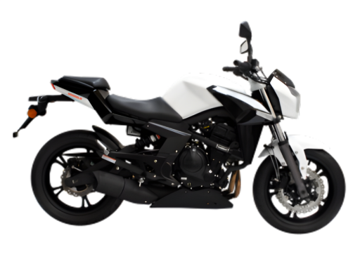 CF MOTO SD 650-S