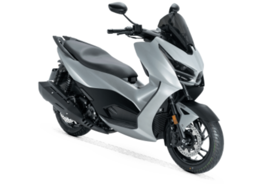RKS RZ250S