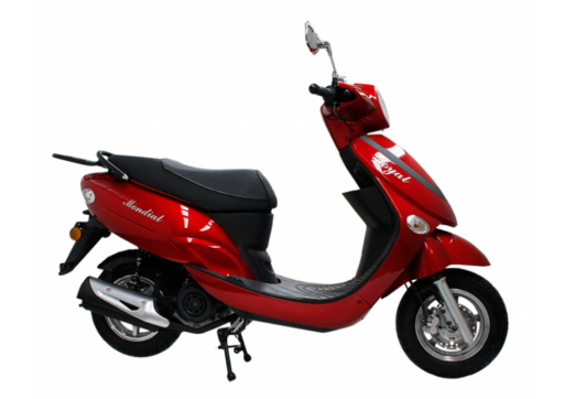 Mondial 100 Loyal