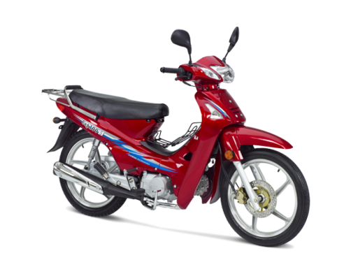 Kanuni CUP 100S