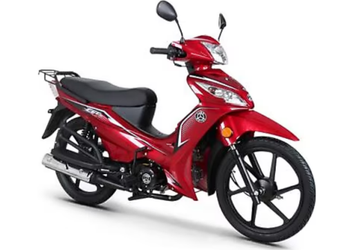 Kuba Ege 50