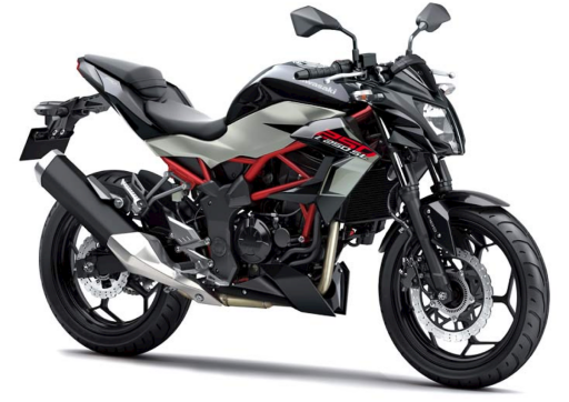 Kawasaki Z250 SL